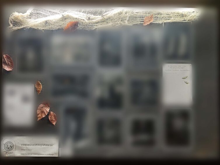 Halloween i skyltskåpet