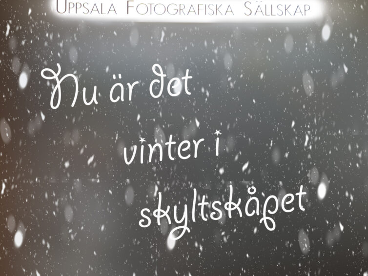 Vinter